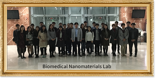 Biomedical Nanomaterials Lab